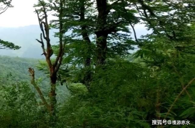 逃离冰淇淋世界