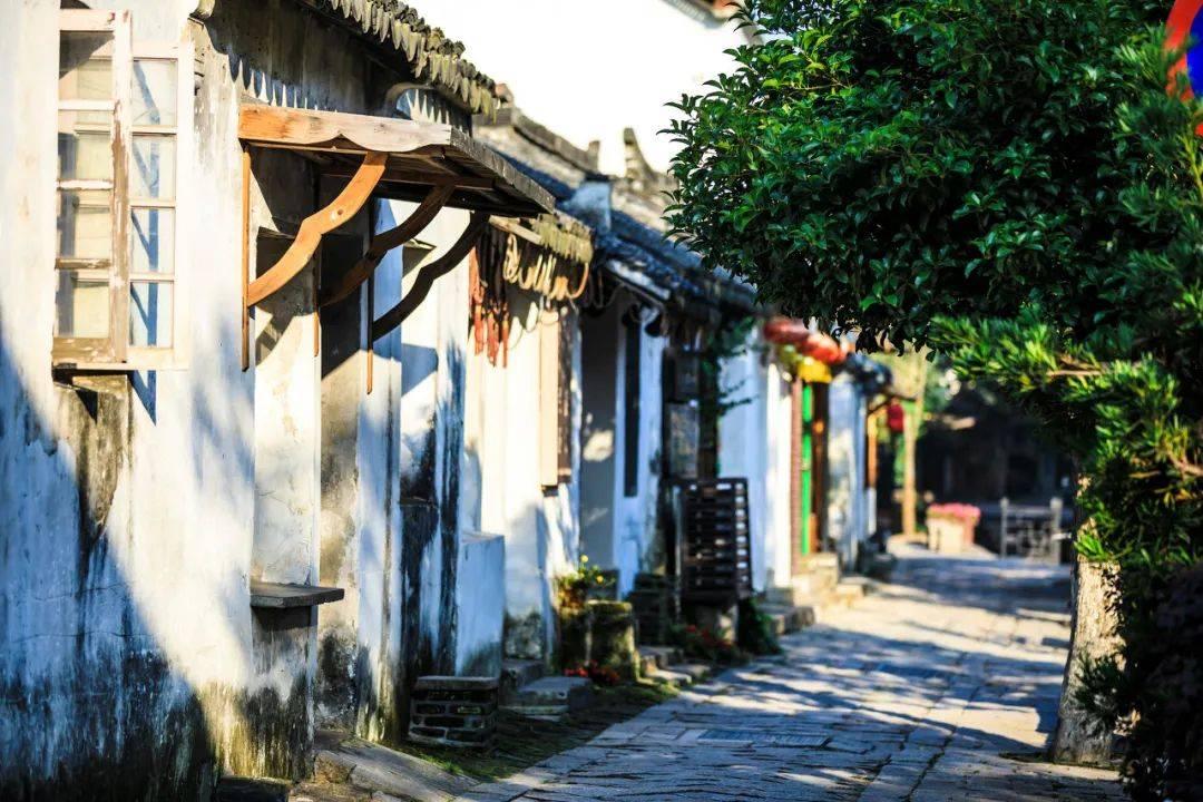 袋鼠兄弟2
